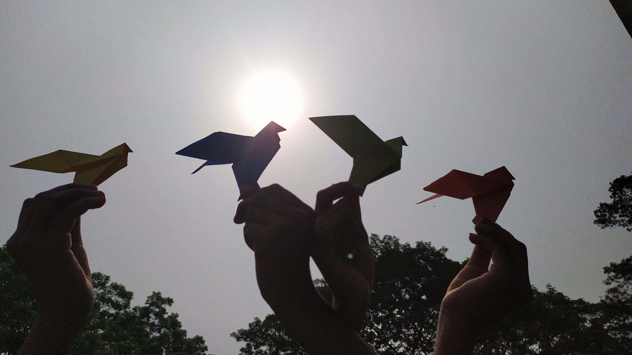 Children flying CLARISSA birds
