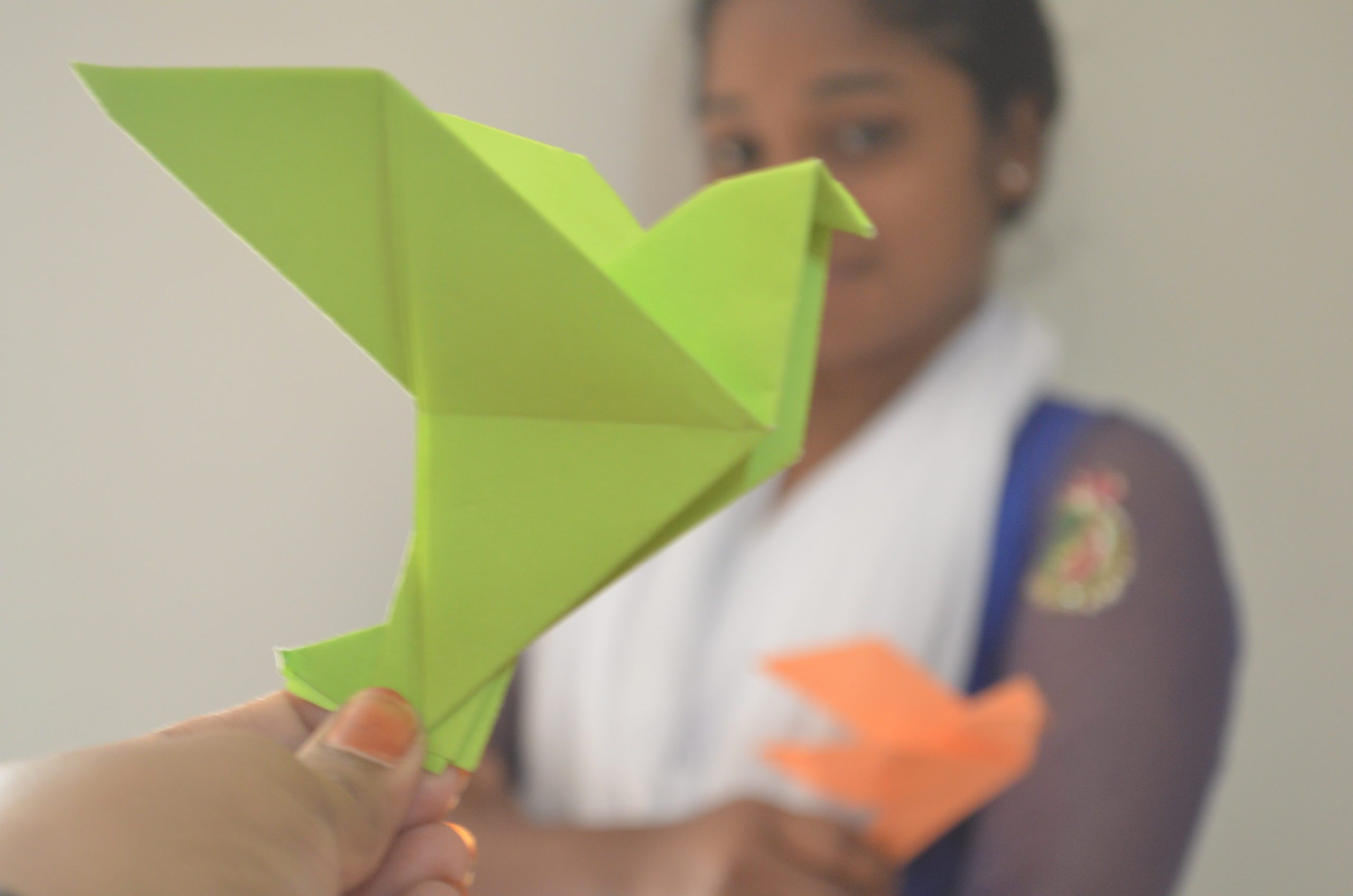 Paper birds made by child participants